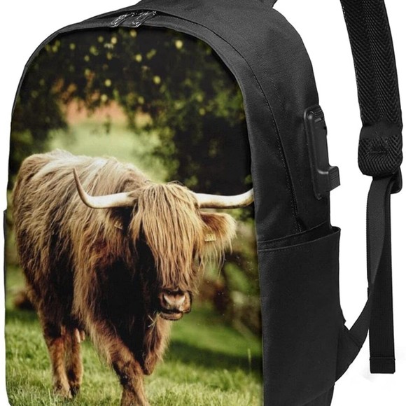 Meet your Posher, Joy - Picture 1 of 1